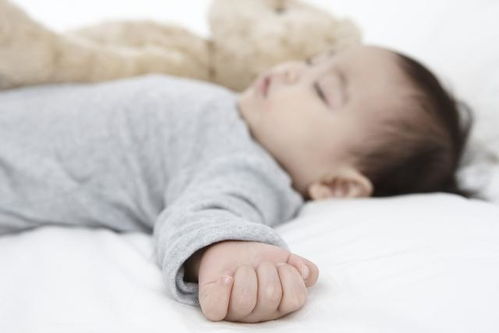 毛阿敏的个人资料简介 毛阿敏的个人资料简介