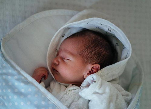 上海三代试管婴儿费用全 上海三代试管婴儿费用全