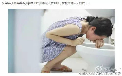 泰国试管婴儿哪家医院比较好 看这里就够了 泰国试管婴儿哪家医院比较好 看这里就够了