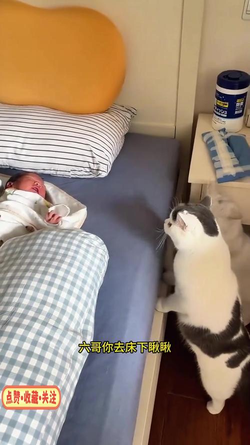 哈萨克斯坦生三代试管婴儿价格多少