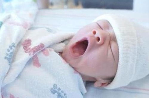 西点培训多少钱