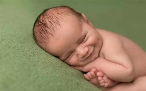 为什么鸽子走路点头 为什么鸽子走路点头