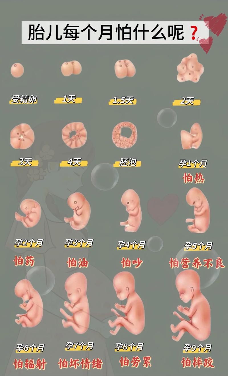 泰国试管婴儿机构费用一览表及经济建议 泰国试管婴儿机构费用一览表及经济建议