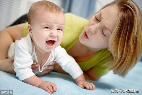 美国做试管婴儿价格和成功率一览