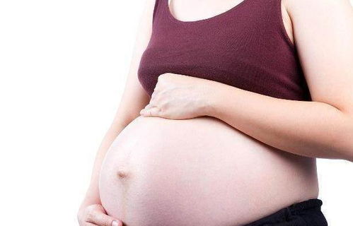 试管婴儿鲜胚和囊胚哪个好 人工和试管哪个好 试管婴儿鲜胚和囊胚哪个好 人工和试管哪个好