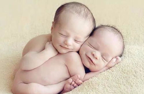 狗咬狗粤语(狗咬狗粤语电影完整版)