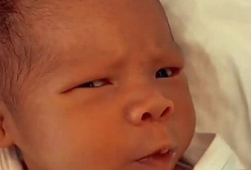 日本第三代试管婴儿成功率的现状与未来发展趋势