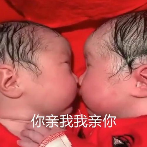 做试管婴儿的时间该怎么安排 做试管婴儿的时间该怎么安排