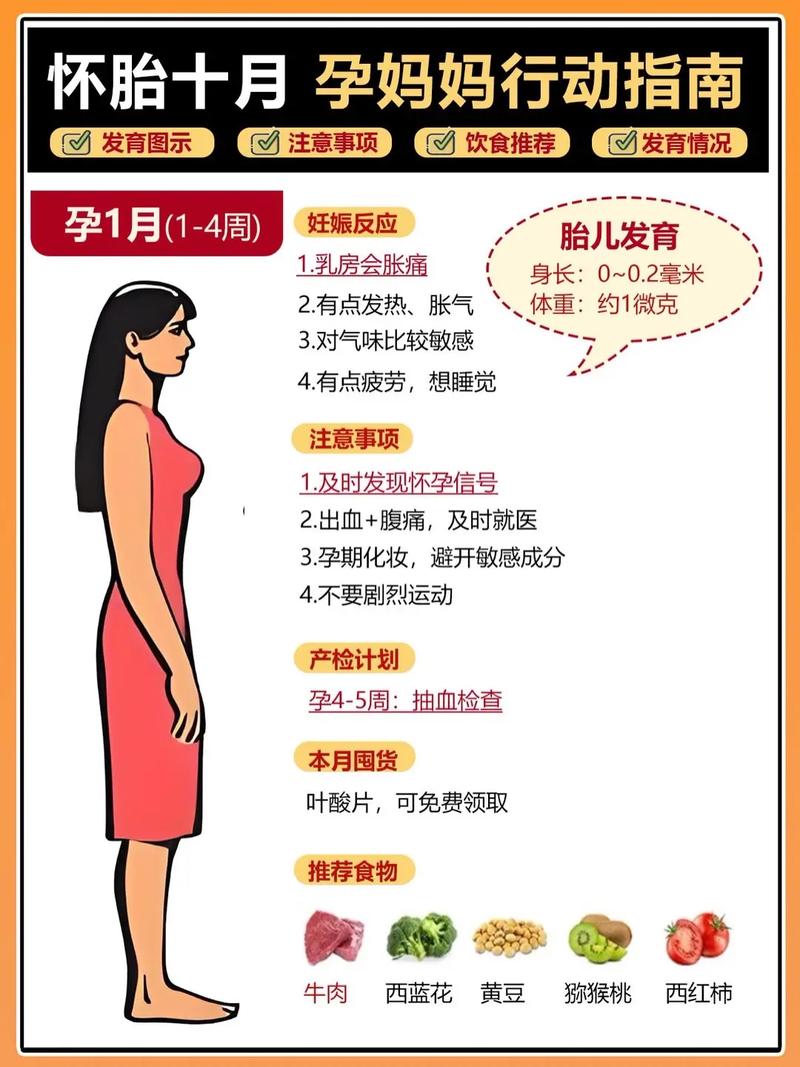 美国禁忌3中文末删版