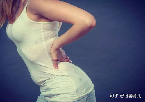 新f4流星花园演员表 新f4流星花园演员表