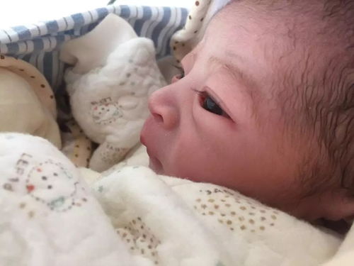 泰国三代试管婴儿应对泡少挑战的费用与调整策略