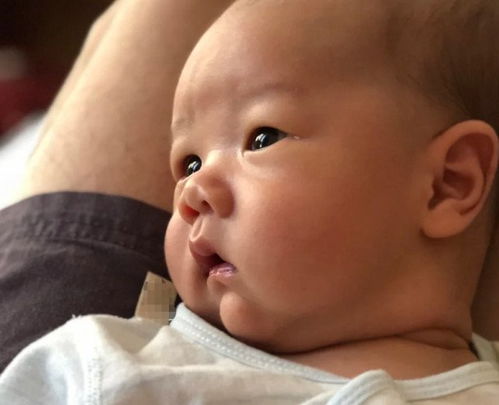 试管婴儿移植后注意事项 试管婴儿移植后注意事项有哪些