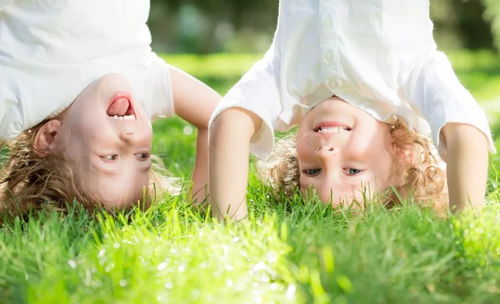 家有儿女第三部演员表