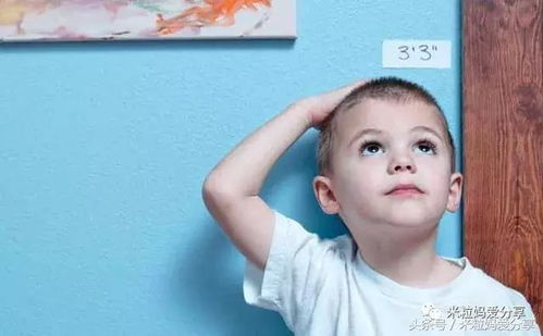 国家出手破除老年人智能鸿沟 国家出手破除老年人智能鸿沟