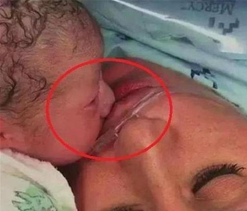 宋丹丹一共有几个老公 宋丹丹一共有几个老公