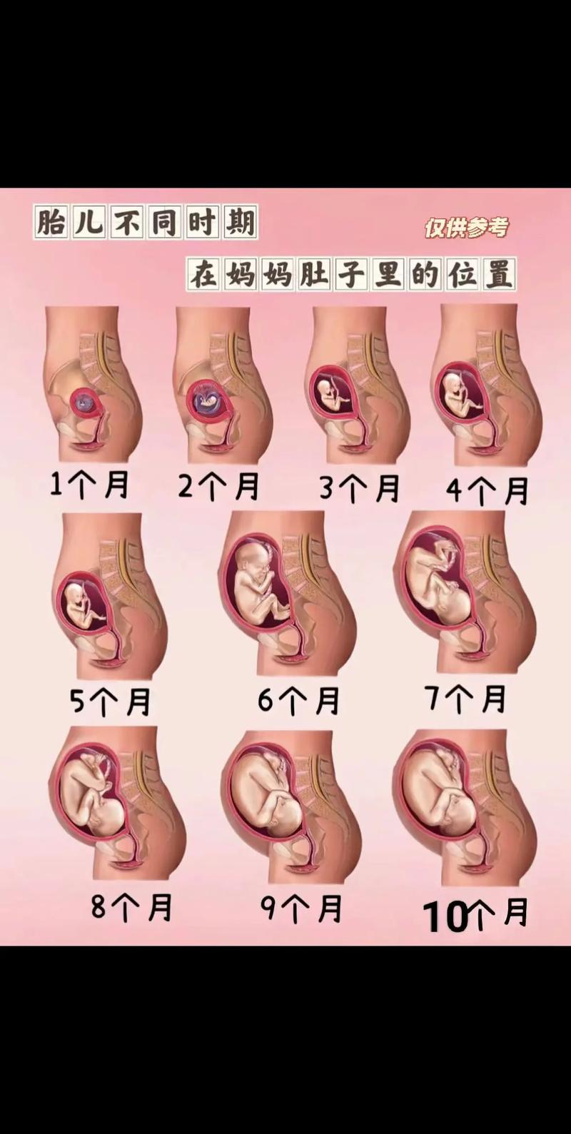 地中海贫血做试管婴儿可避免么 地贫试管三代多少钱 