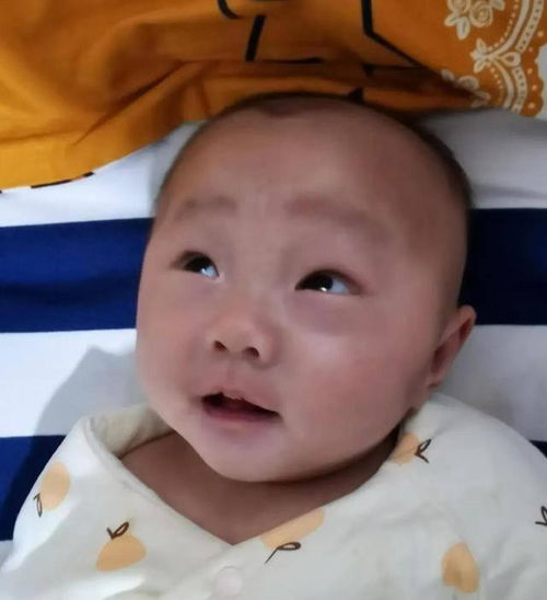 2025年马来西亚试管婴儿费用及流程全 2025年马来西亚试管婴儿费用及流程全