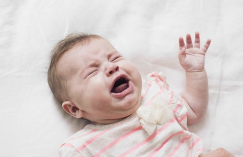 人工授精和试管婴儿哪个更容易受孕