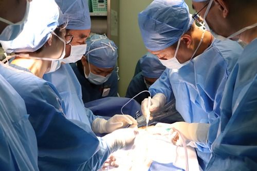 天天有喜2演员表介绍