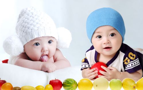 旋风十一人演员表陈瑶 旋风十一人演员表陈瑶