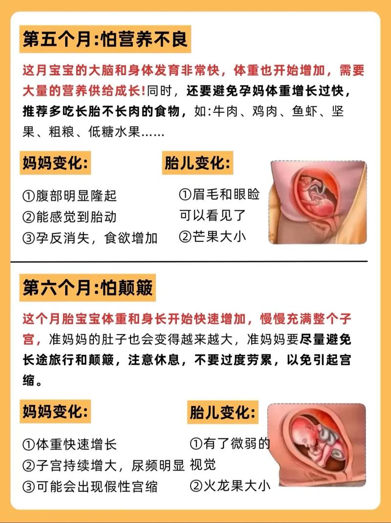 儿童感冒咳嗽低烧应该吃什么药 儿童感冒咳嗽低烧应该吃什么药