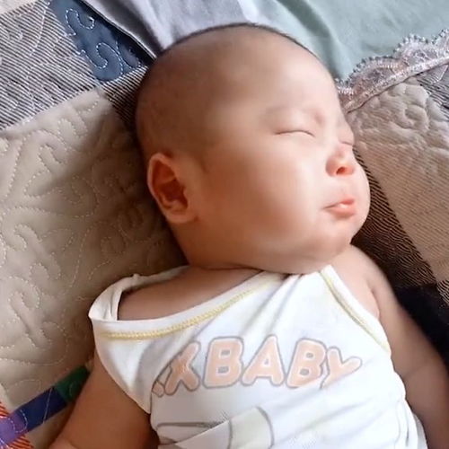 上海试管婴儿费用2026年试管生育需要多少钱 完整流程与价格