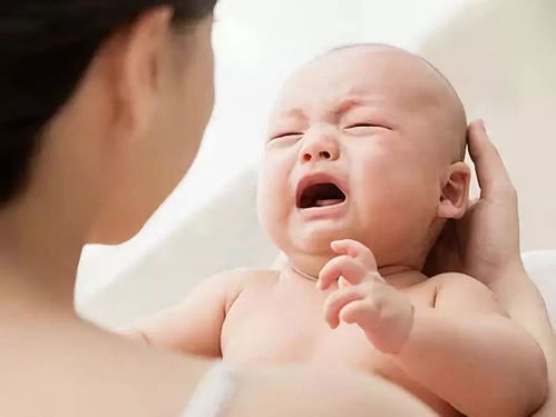 第三代试管婴儿多少钱 第三代试管婴儿多少钱