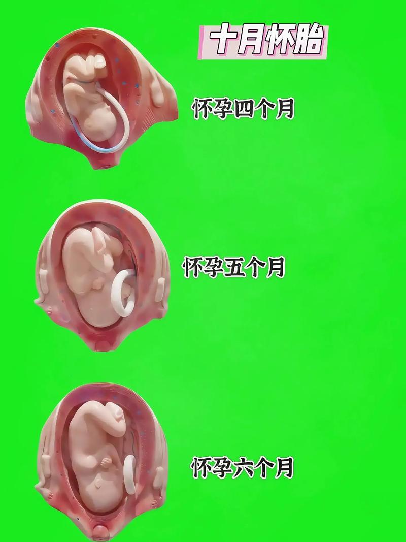 太原试管婴儿医院排名前十一览