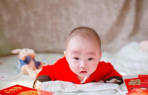 胡姬琵琶行歌词胡姬琵琶行歌词攻略
