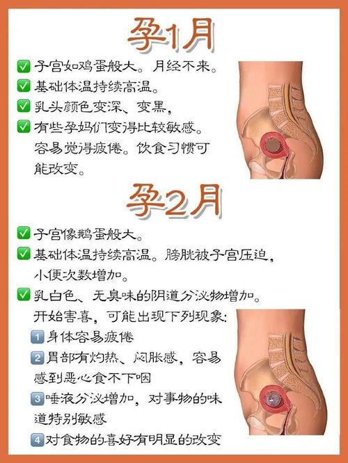 电炒锅有辐射吗 电炒锅有辐射吗对胎儿有影响吗