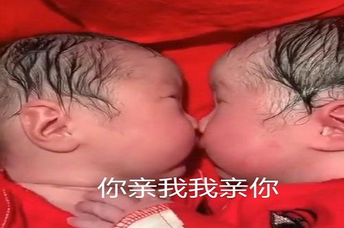 泰国第三代试管婴儿申请条件是什么 泰国第三代试管婴儿申请条件是什么